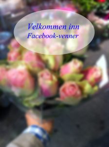 Velkommen_blog